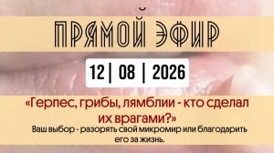 Прямой эфир с Еленой Сокол от 12.08.2026. «Герпес, грибы, лямблии - кто сделал их врагами?