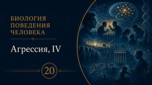 Биология поведения человека. Лекция 20. Агрессия, IV [Роберт Сапольски, 2010]