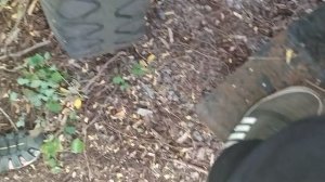 полезли в заброшенный грузовик 1 часть