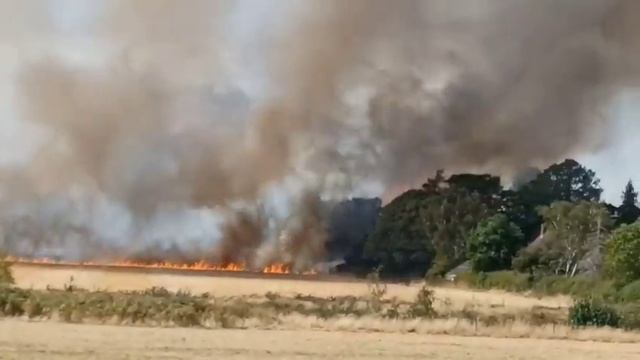 Пожары в Британии добираются до населённых пунктов