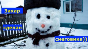 VLOG 09.11.2025г. Захар слепил большого снеговика. Трюки на «турнике».  #прожизнь #люди #видеопро