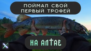 ПОЙМАЛ СВОЙ ПЕРВЫЙ ТРОФЕЙ В ГОРНОМ АЛТАЕ! Рыбалка на спиннинг и мормышинг.