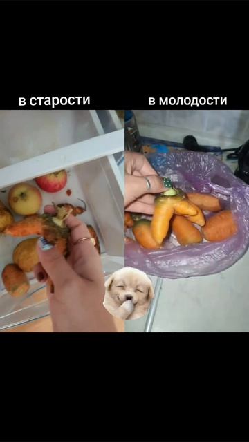 🤣🤣🤣