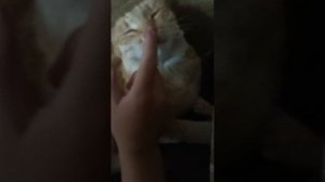 стрелка😺😺😺😺