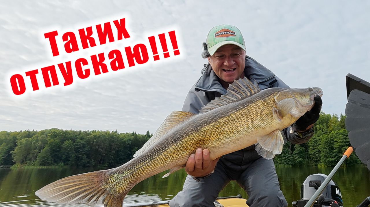 ВОТ ЭТО РЫБАЛКА!!! ГАЙД ПО ЛОВЛЕ СУДАКА!!! СПИННИНГ Ronin Rush SONIC INSURGENT 14-50ГР.