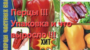 Обзор сладких перцев!!! Что выросло??? Сравним,что на пакете или картинке!!!
