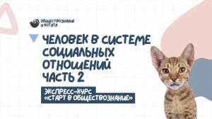 1.2 Экспресс. Социология (часть 2)