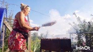 ПОЖАРИЛА КОНСКИЙ ЩАВЕЛЬ НА ОБЕД.ШАШЛЫК ДЛЯ СОБАК ИЗ ИНДЕЙКИ НАМ ИЗ КУРИЦЫ