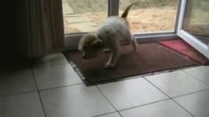 БЫВАЕТ