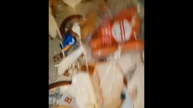 Что скрывает Катя и Тимур