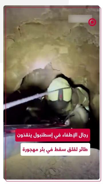 إنقاذ طائر لقلق سقط في بئر داخل مبنى مهجور،
