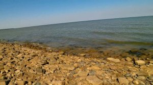 Медуз очень мало! Вода +26.