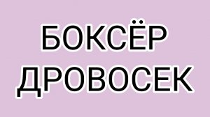 Вологодское побоище или зачем ОЛАШКА таскает свои картины⁉️