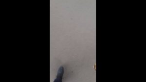 САНКТ-ПЕТЕРБУРГ_ЛЕН.ОБЛАСТЬ_МИКС_150826 - (А)3_N-S(0)F...(8)
