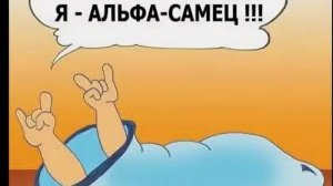 Украинский альфа-самец Пашка пахнет мочой
