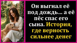 Истории из жизни|Купи своей шавке жратвы...|Аудио рассказы|Жизненные истории|Аудиокнига слушать