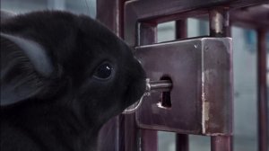 Возвращение нерпы домой 6 серия