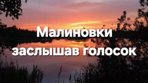 Малиновки заслышав голосок