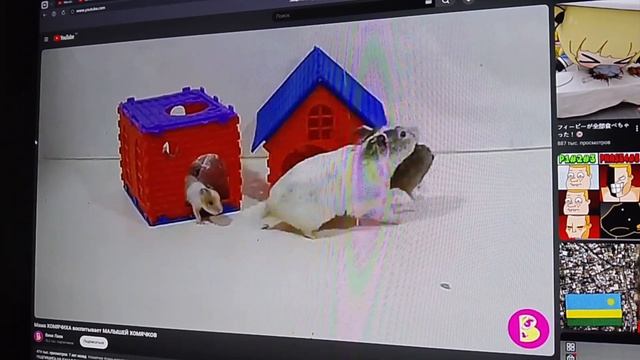 мультфильм Вики лайк