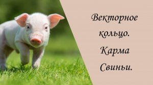 Векторное кольцо. Карма Свиньи.
