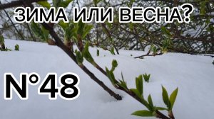 N°48. И СНОВА НА РАБОТУ || ЖИЗНЬ В ДЕРЕВНЕ || ПЕС СИМУЛЯНТ