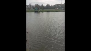 VID_20260816_124540