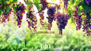 Воскресное Богослужение 16.08.2026г.
