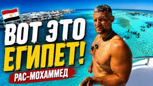 Шарм-эль-Шейх: ТАКОГО ЕГИПТА Я НЕ ОЖИДАЛ! Рас-Мохаммед, сафари и Белый остров - Египетские мальдивы!