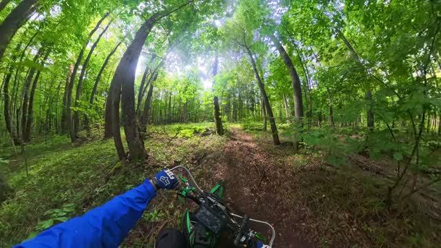 мото едем в лесу маршрут наоборот