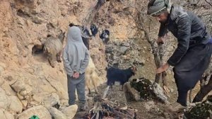 Жизнь в пещерах гор Ирана после дождя   Выживание туманным утром со свежим хлебом 🔥