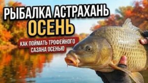 АСТРАХАНЬ РЫБАЛКА ОСЕНЬ