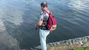 Жерех жжёт 🎣