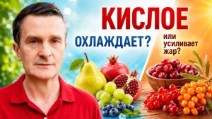 Не всё кислое охлаждает: фрукты и ягоды для Питты
