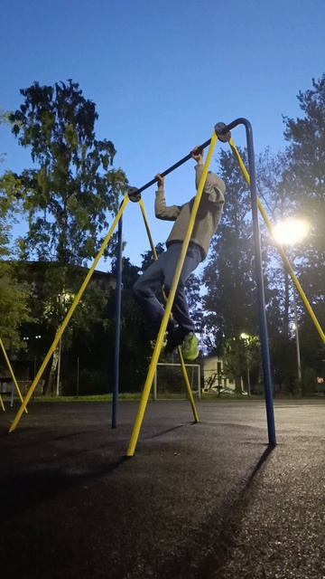 229/365