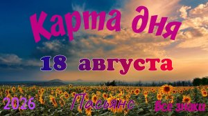 Карта дня🍉18 августа 🐞☘️Пасьянс. Тайм-код в описании 🦢