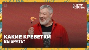 Как выбрать качественные креветки? | Выбор Рыбова — Москва 24