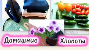 ШУРШУ ПО ДОМУ 💪