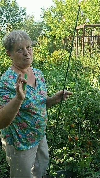 Пластиковые колышки для растений 150 и 60 см