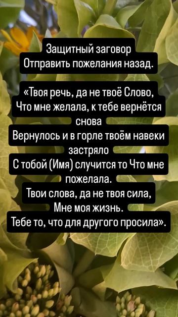 Защитный загоаор