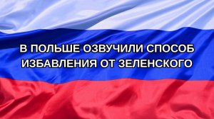 |Н. РФ| В Польше озвучили способ избавления от Зеленского