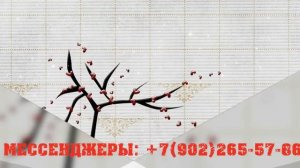Самый креативный способ поздравить дочь — это интерактивное шоу из фото и музыки