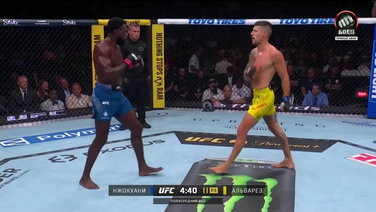 Чиди Нжокуани против Джоэля Альвареза (видео). UFC 330