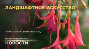 Новости. Центральный регион | Наш хлеб | Яблочный рай | Ландшафтное искусство