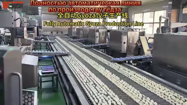 Полностью автоматическая линия  по производству гёдза