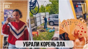 Убрали корень зла | Удачные покупки на WB | Тренировка на улице - ВЛОГ №4035 - 15.08.26