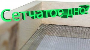 🏠 Открытое дно и глухой верх: как конструкция улья влияет на зимовку? Профессор Кашковский отвечает