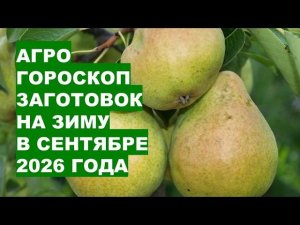 Сентябрь 2026: Самые Благоприятные Дни для Заготовок на Зиму?!