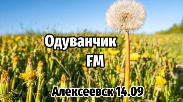 Послерекламный джингл (Одуванчик FM 14.09,20.12.2012)