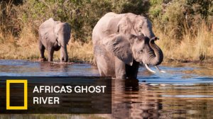 Призрачная река Африки - 3 серия (2026) / Africa's Ghost River