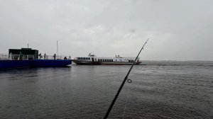Щука у причала.16.08.2026 г.